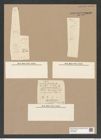 Melosira crenulata var. binderiana Grun. (de-Toni-Nr.: Genus 213, Species 5312) Zeichnungen Sammlung Grunow Nr. 9189 (NHMW-BOT-W0378968)